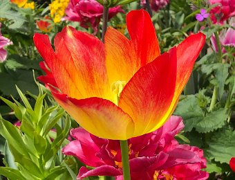 11-12 April Around Montreux