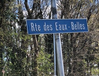 19 April Geneva, Western Most Point, Carouge