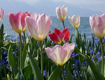 2-3 April 2021 Around Montreux