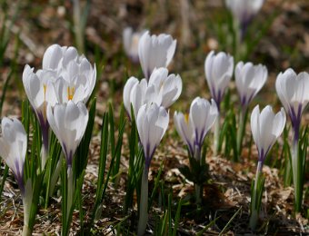 25 Apri 2021 Les Paccots to Lally