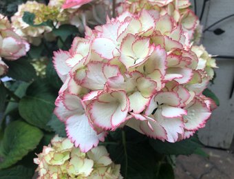 28-30 April Around Montreux