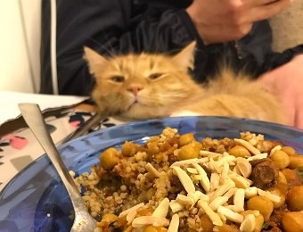 Happenings in Zurich