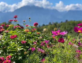 31 August Around Montreux