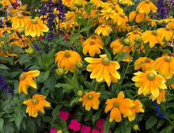 6-7 August Around Montreux