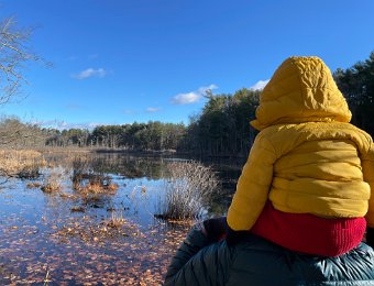 3 December - Walk in the Park