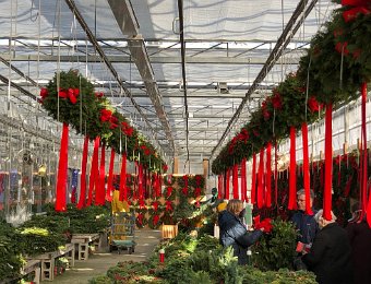 1-7 December Wellesley