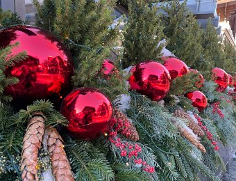 19 December Different Tracks