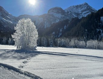 21 December Lauenensee