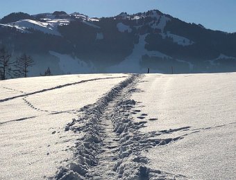 18-22 December Pays d'Enhaut