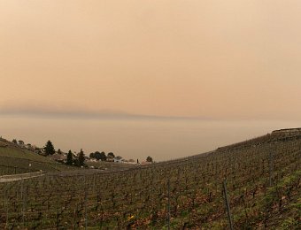 6 February Cully and Lavaux w J, J & M