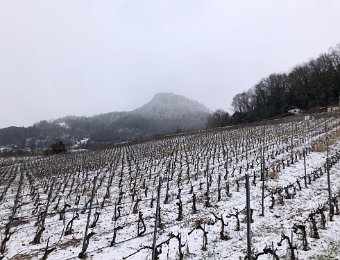 17 January Les Avants to Montreux