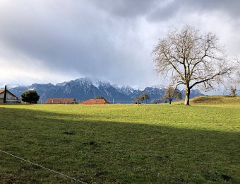 21-22 January Around Montreux