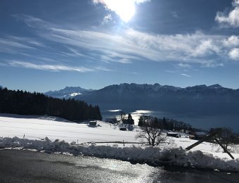 24 January Rochers de Naye and Mt Pelerin with Janice