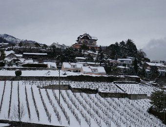 27 January Below Blonay, Around Montreux Snow in Vineyards