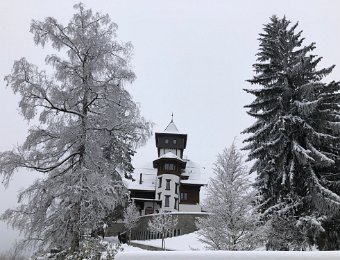 5 January Lausanne, Pain in Ball of Foot and Les Avants