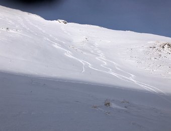 9 January Rochers de Naye, Persimmon Cookies
