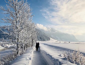 Happenings in Zurich