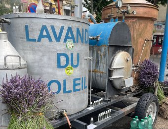 4 July to Apt Lavender Festival