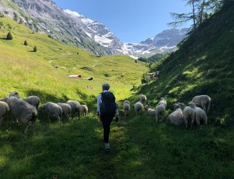 19 July Gemmi Pass to Loeche-les-Bains