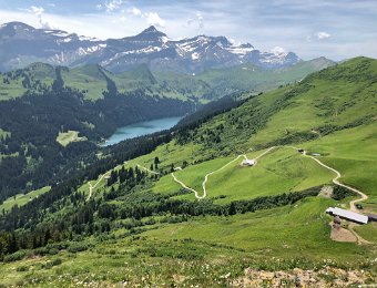 21 July Witteberghore