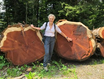 26 July Luan to Corbeyrier