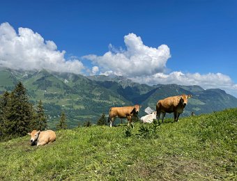13 June La Gruyere, Rickermanns on Balcony