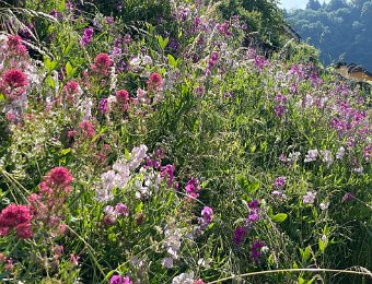 17 June Visit to House in Sonzier