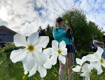 3 June Narcissus and Hidden Valley w Bri and Nico