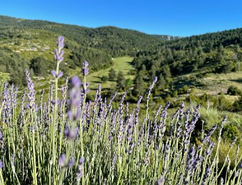 30 June Hike from La Sagne