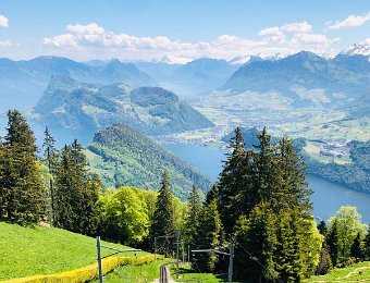 Happenings in Zurich