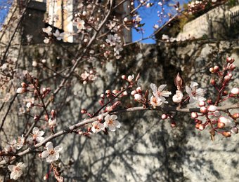 11-12 March Around Montreux