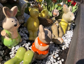 29 March Skiing Mont Noble, Vevey