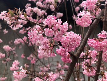 4-5 March Around Montreux