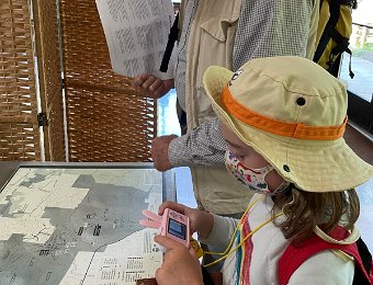 7 May Cedars of Lebanon