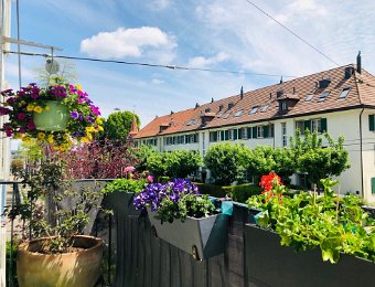 Happenings in Zurich