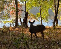 1 - 8 November Nashville