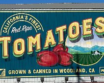 20 November Woodland