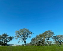 29 November Caspar to Boston