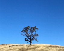 11 November Hamilton Home and Hike