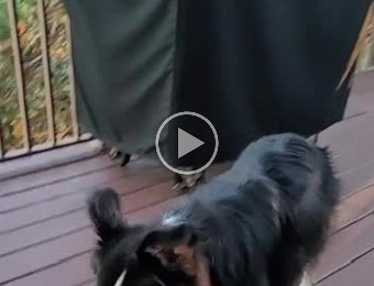 Happenings in Nashville