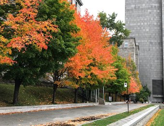 17 October Around Montreal