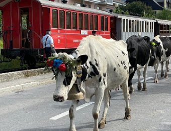 25 September Desalpe de Blonay