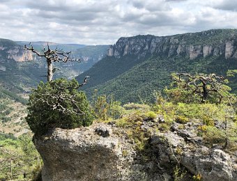 5-9 September Cevennes France