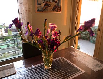 21 April Around Montreux