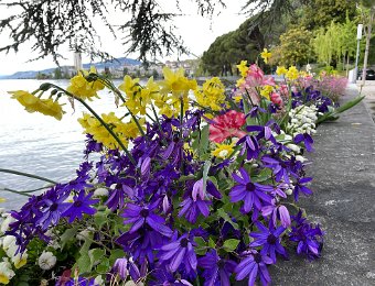 24 April Villeneuve (2ieme tour) and along the Quai to Montreux