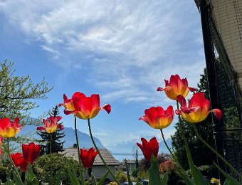 29 April Montreux to Vevey