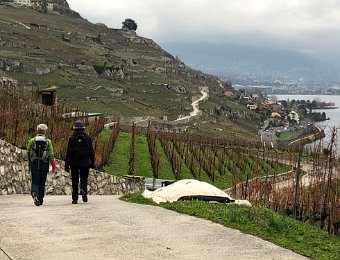 1 December Lavaux with TK