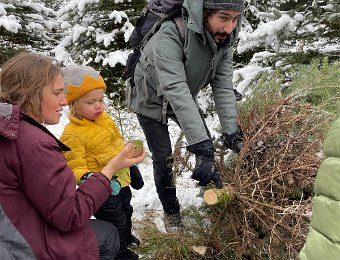 18 December Choosing our 2023 Christmas Tree
