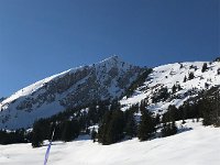 Gros Van with barrels