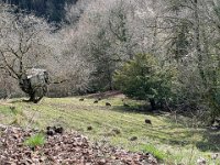 21 -25 February Around Montreux